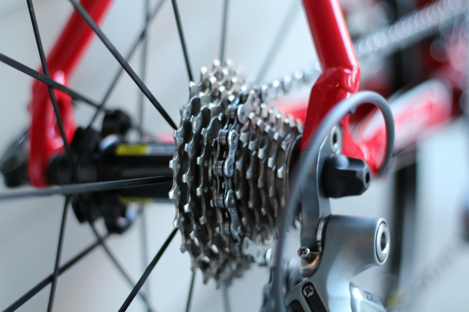 Les Secrets d’un Stage Vélo Réussi : Préparation et Progression