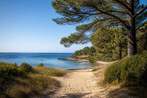 Activités nautiques : les meilleures expériences à vivre en vacances